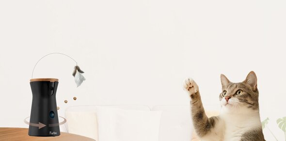 Furbo 360 cat camera with a cat
