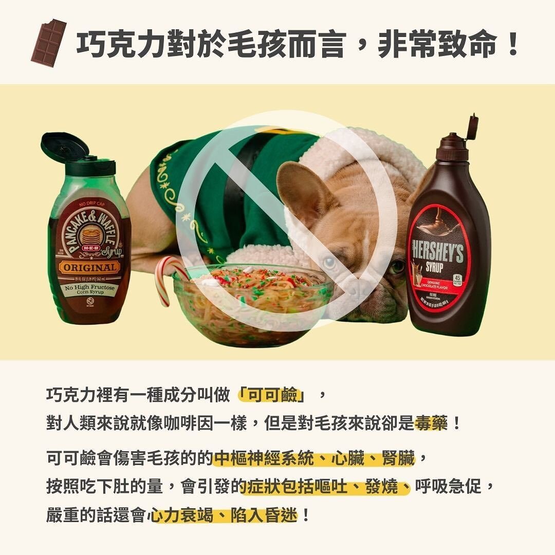 毛孩巧克力致命