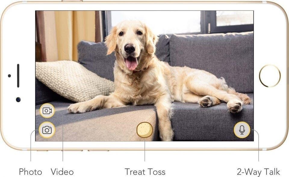 Furbo App user interface