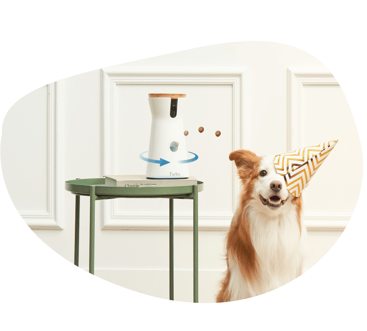 Happy dog wearing party hat next to white Furbo camera on green side table