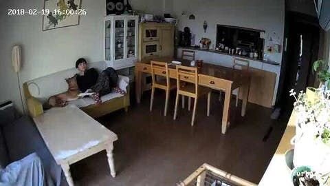 再現ドラマの中でも触れていますが、在宅で癌治療をしていた妻は僕たち家族が日中仕事や学校に行っている間は福とふたりだけで留守番していました。もちろん、気持ちとしてはずっと付きっきりでいたいのですが、実際そうもいきません。そこでファーボが活躍してくれました。仕事の手が空いたとき、あ、今頃どうしてる...