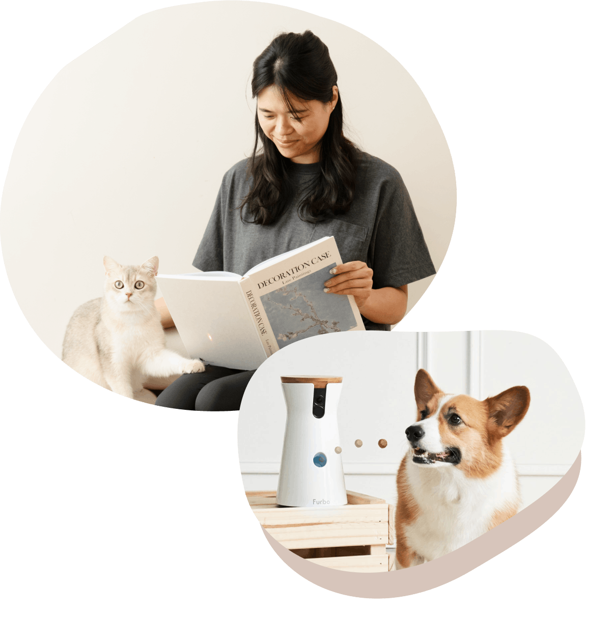 Woman reading with white cat above, corgi next to white Furbo camera below