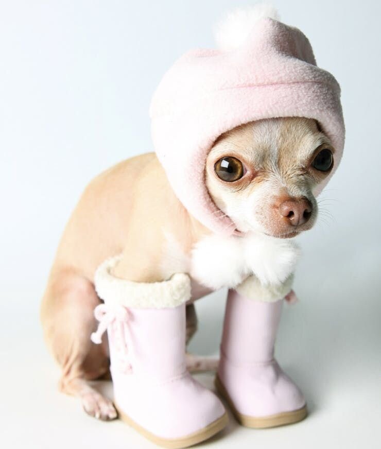 気管や気管支の疾患を抱えている子は乾燥による気管支炎を引き起こしやすいため、家では加湿器を用いて湿度40%~50%を維持しましょう。