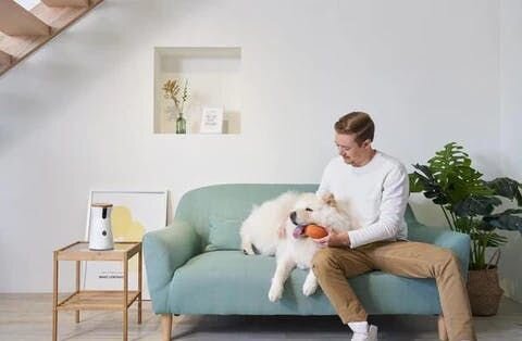 わんちゃんの様子をスマホから見守る