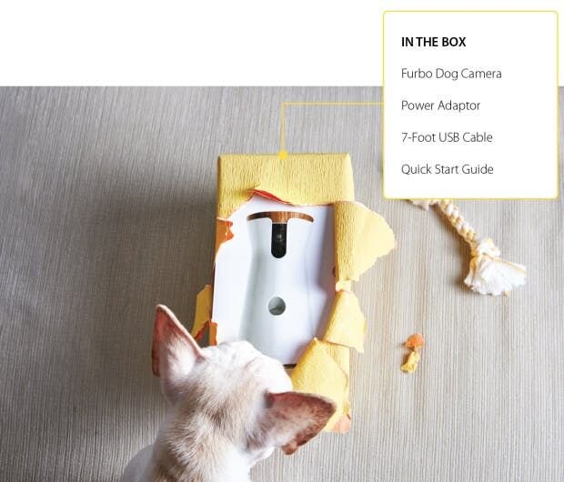 Sleek shiny curves with a wood-like finish on top adds a strong modern style that makes any tech gadget guru want one, let alone pet parents. The f...