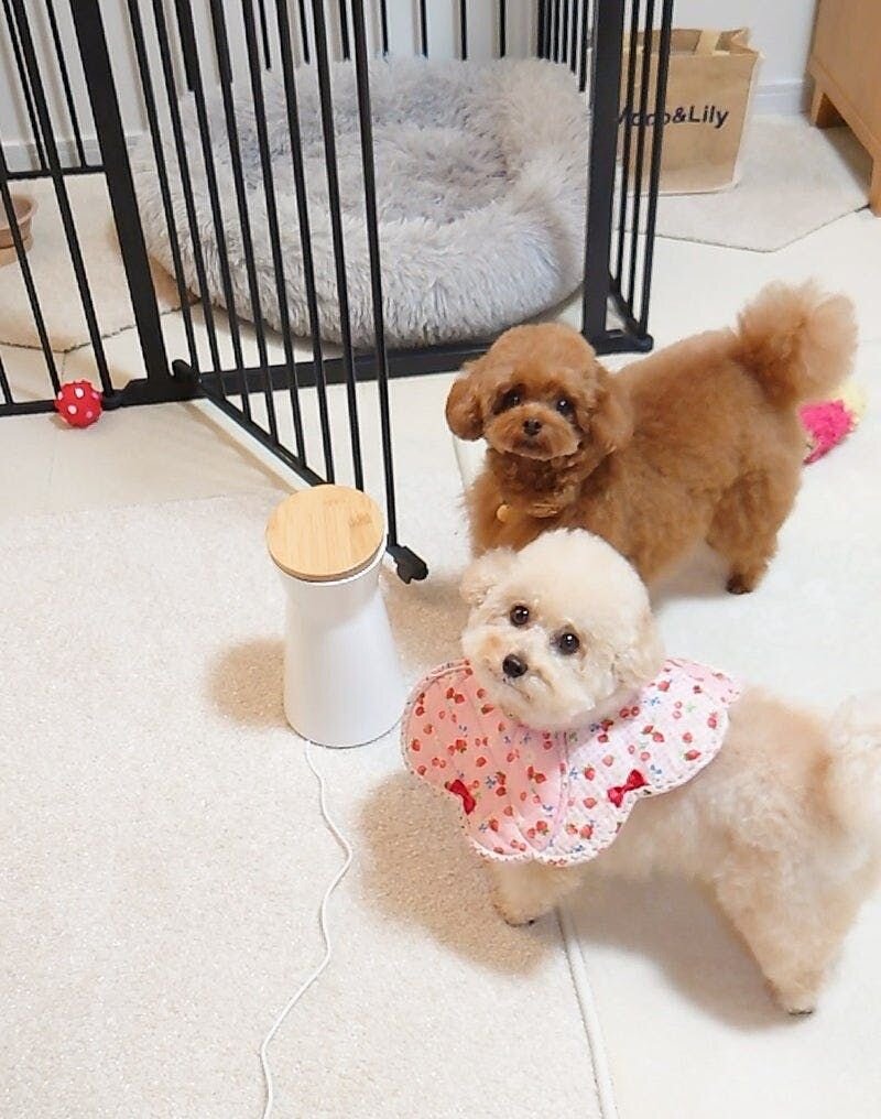 不思議そうな顔・・