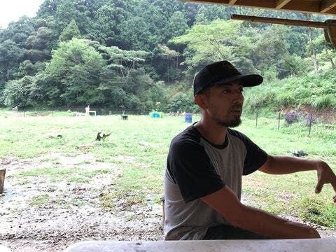 保護活動を始める際、大型犬の保護のハードルは高くなかったですか。