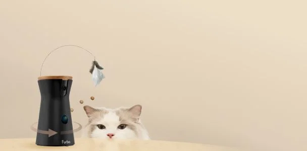 Furbo 360 cat camera with a cat