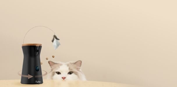 Furbo 360 cat camera with a cat