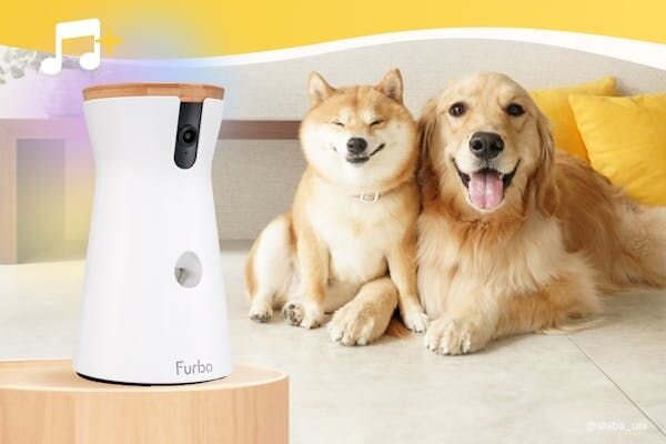 How Furbo’s New AI Features Are Changing the Game