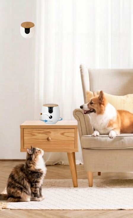Corgi dog sitting in beige chair next to white Furbo camera on nightstand