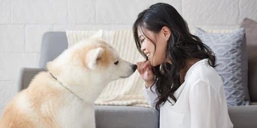 3 Reasons Why You Should Be Thankful for Your Dog