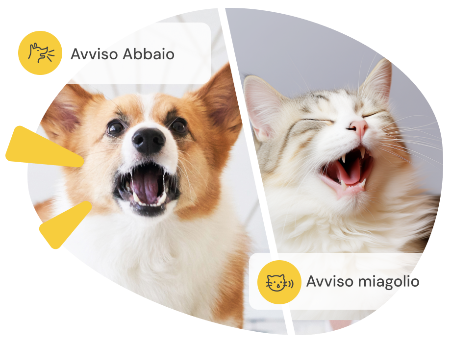 Schermo diviso: corgi che abbaia con notifica 'Avviso abbaio' e gatto che miagola con 'Avviso miagolio