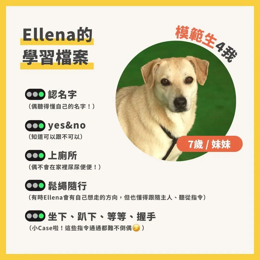 Ellena個人資料