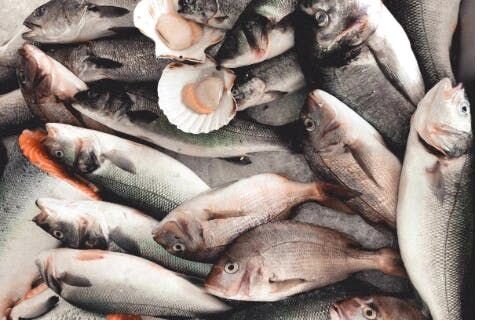 Omega-3 fatty acids seafood