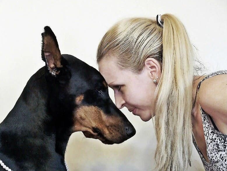 Doberman and human