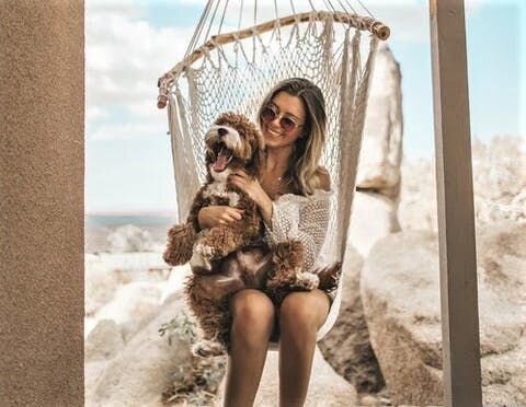 わんちゃんは人間の言葉を理解しているの？