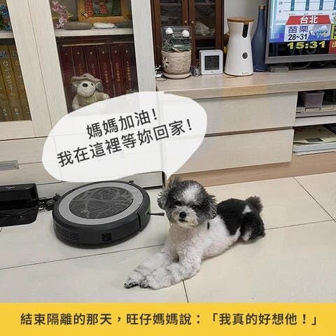 趴在櫃子前面的黑白色狗狗旺仔