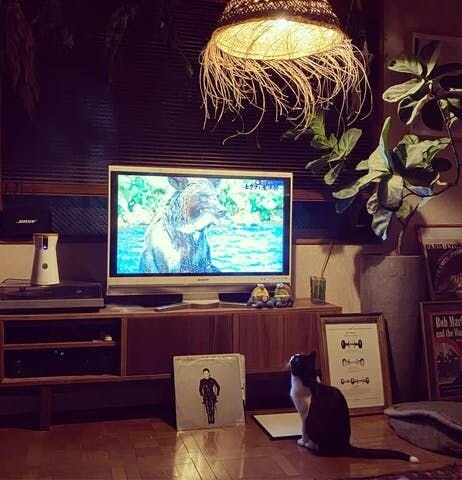 緊急事態宣言でとーさんたち人間も家にずっといる日が増えた。そのせいか、トモとモエの行動に変化が。無防備にリビングで眠ったりするようになってきたよ。でも、まだまだ触らせてくれそうにはないのです。道のりは遠い…