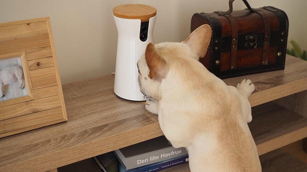 「いい子にして待っていても、
　遊び相手がいないから、タイクツだー！
　おやつが飛んでくるっていうことは、
　中におやつが入っているっていうことかな？
　だったら倒して中のおやつを食べちゃおうっと♪」

ドンッ！