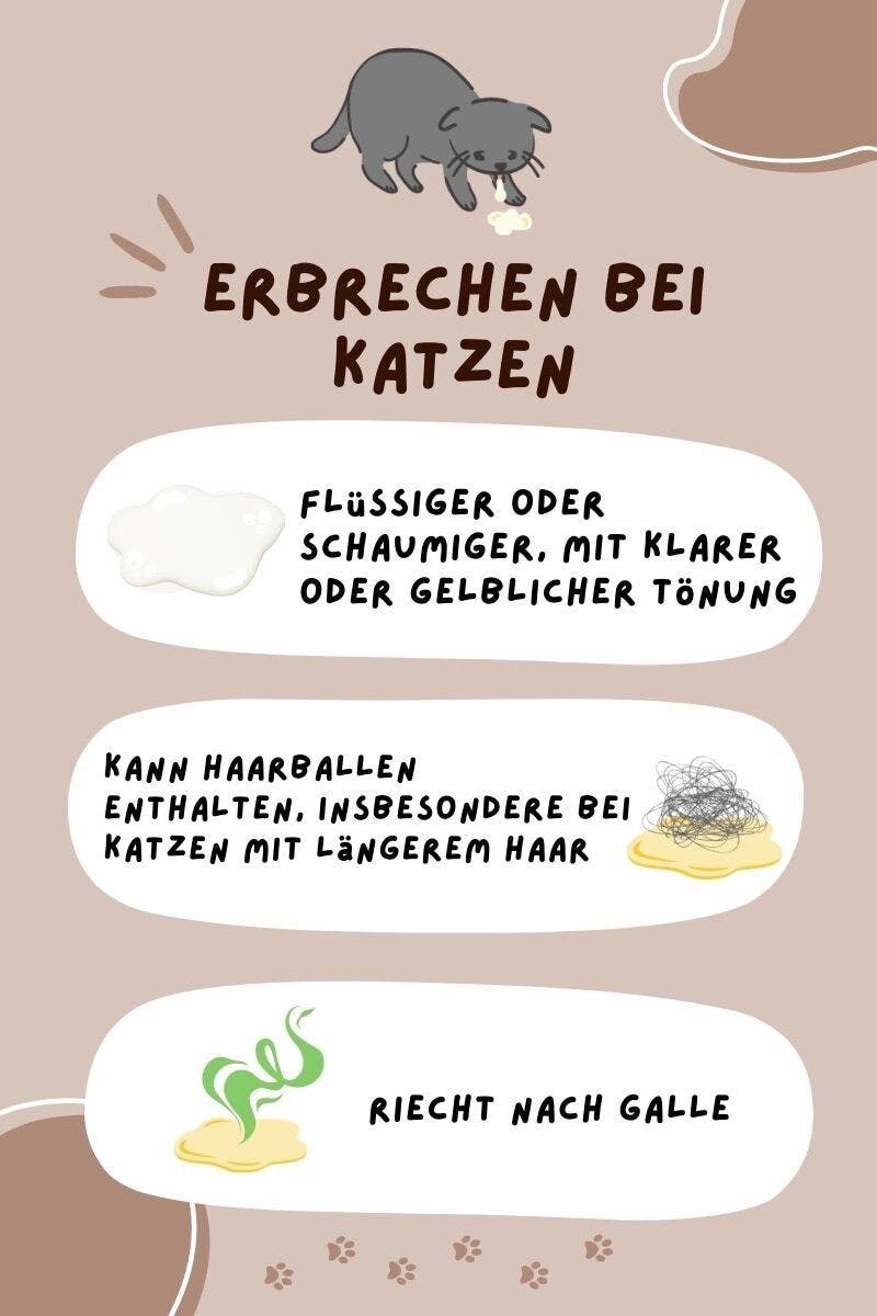 Ursachen für Erbrechen bei Hunden