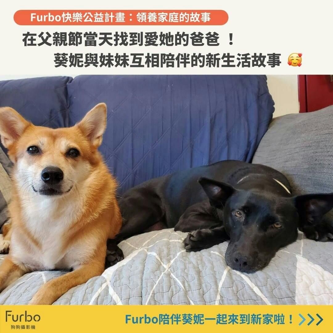 溫馨浪浪葵妮的父親節故事｜「這一天，我找到一生的歸屬」