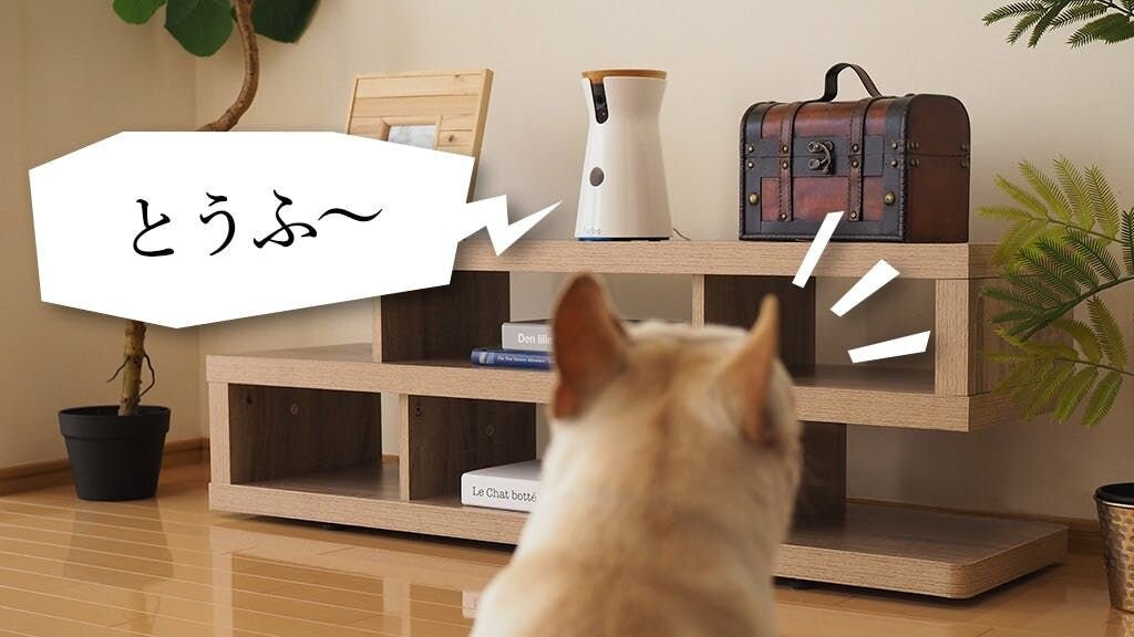 「ワン！ってぼくが吠えたら、
　出かけているはずのママの声が返ってきた！」