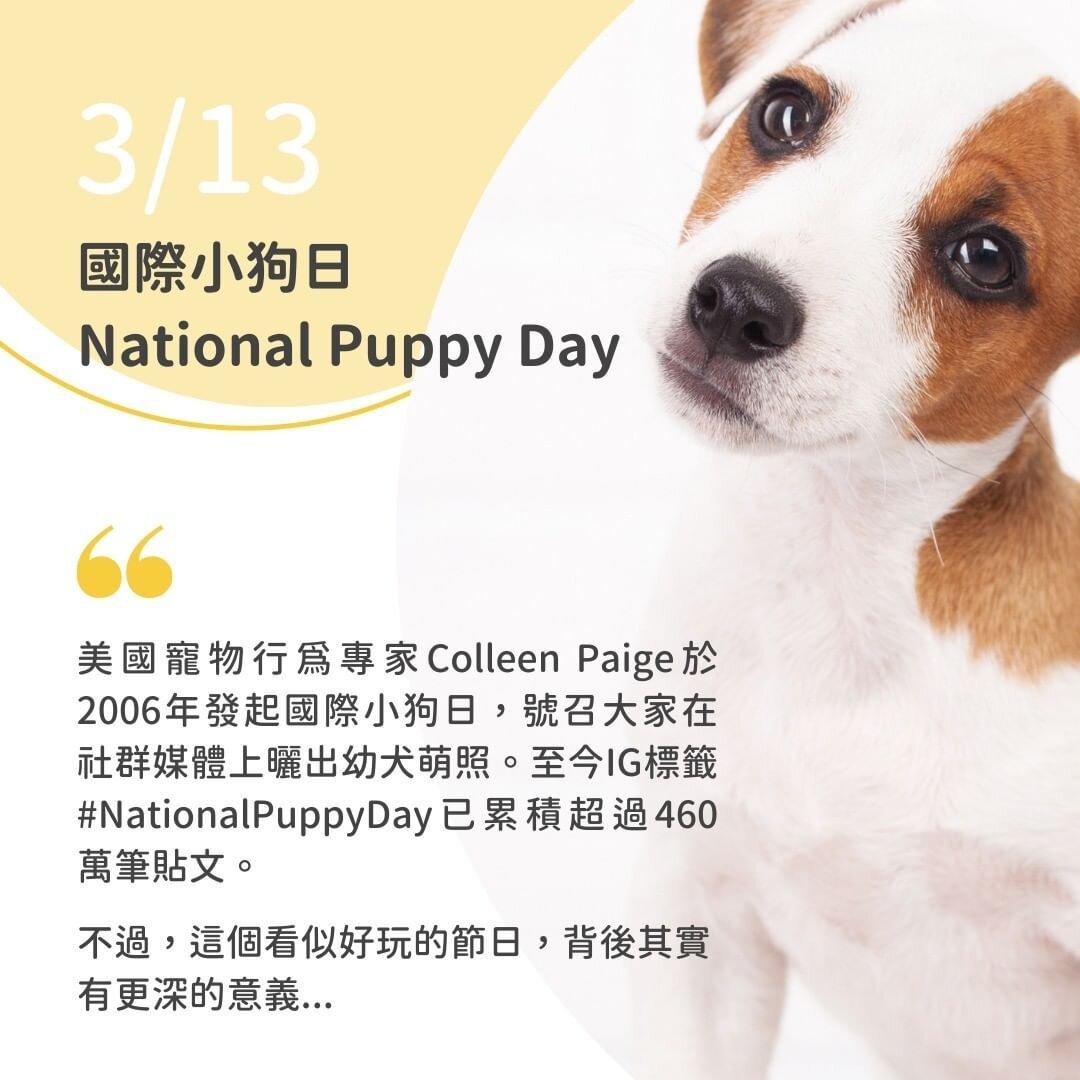 國際小狗日
