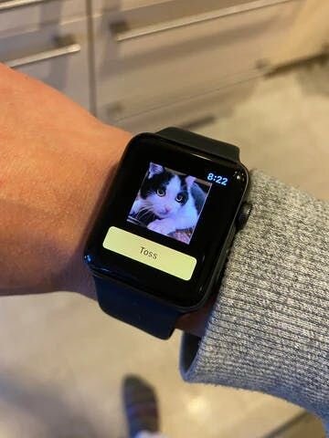 しかし驚くべきことに今年とーさんの家にやって来た２代目のFurboは最新型のFurboはAIを搭載！（すごいなAIはこんな領域にまで・・）なんと犬や猫の動きを感知して、自動で撮影しスマホに通知してくれるんです。ちなみに僕はアップルウォッチを使っているので、会議中とかでもウォッチにピローーーンと...