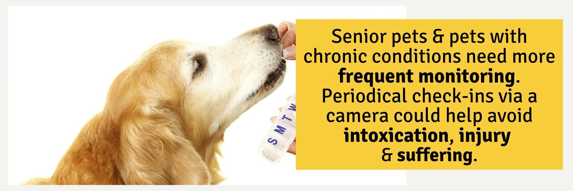 Periodical check-ins via a camera could help