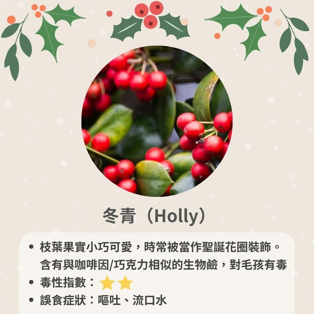 毒性指數：★★
反應症狀：嘔吐、流口水、腹瀉、肚子痛