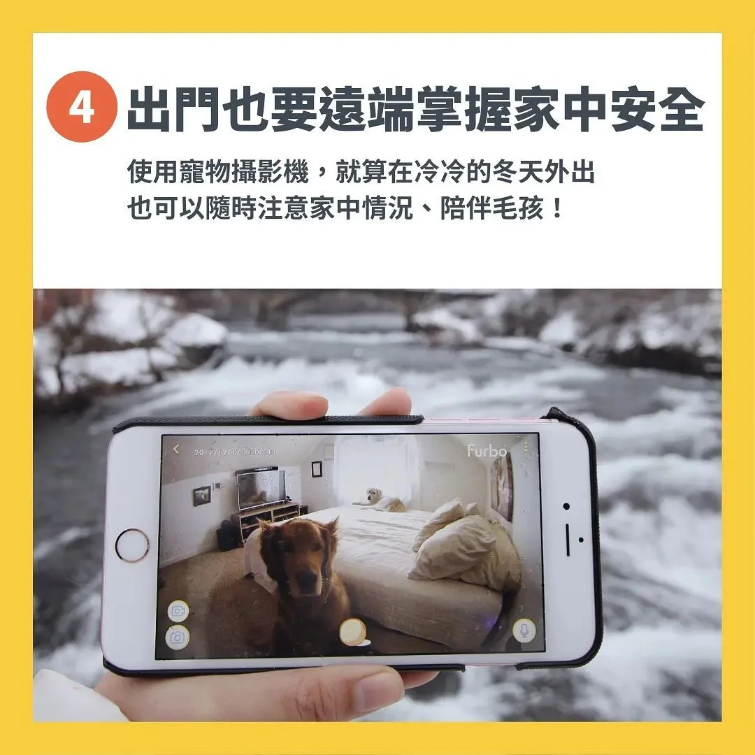 照顧毛孩注意事項