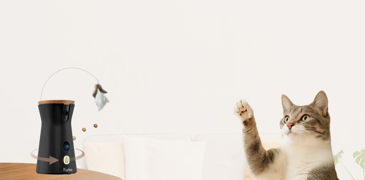 Furbo 360 cat camera with a cat