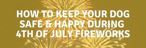 10 Ways to Keep Your Dog Safe & Happy During Fourth of July Fireworks