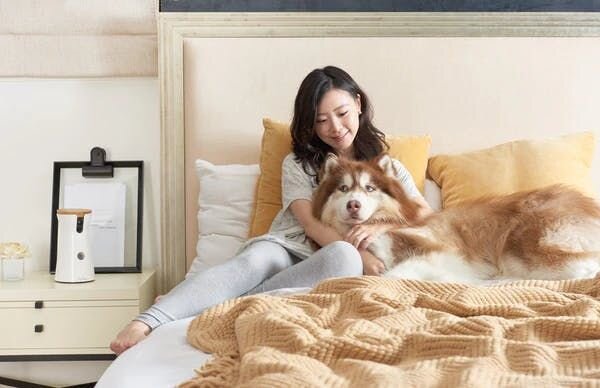 Woman and dog laying on bed