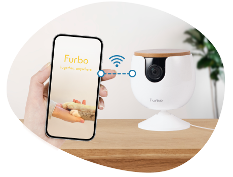 connect App to camera