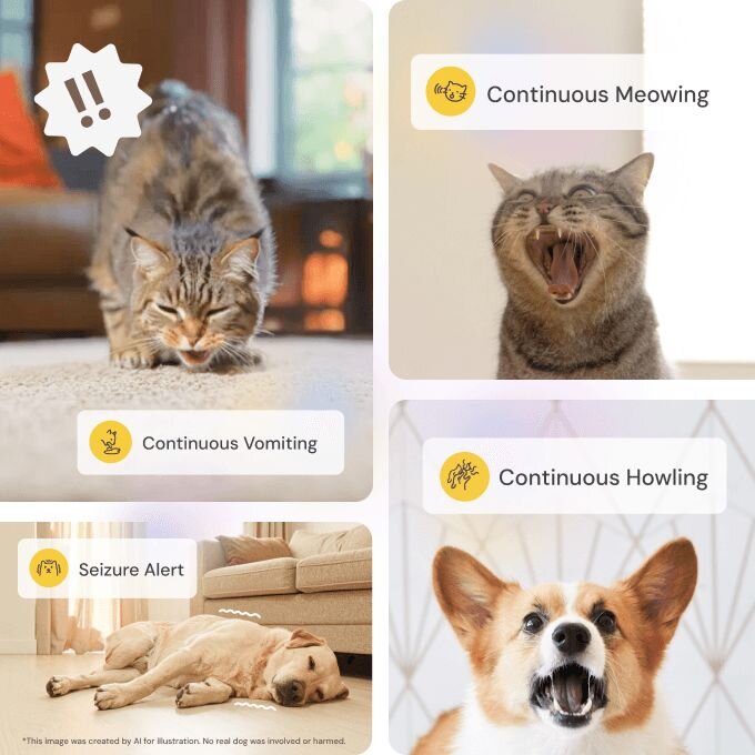 Pet alerts showing cat vomiting, meowing tabby, and howling corgi with continuous behavior notifications displayed