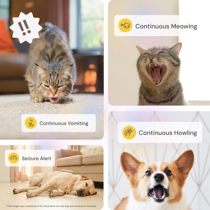 Pet alerts showing cat vomiting, meowing tabby, and howling corgi with continuous behavior notifications displayed