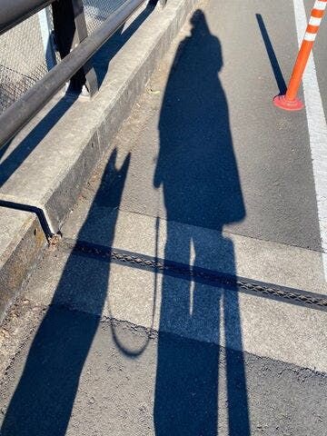 こうしてようやく散歩に出かけるのです。