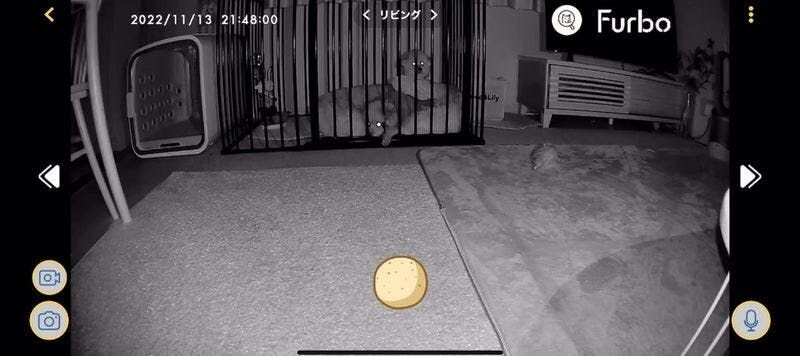 新型360°ビュー↓