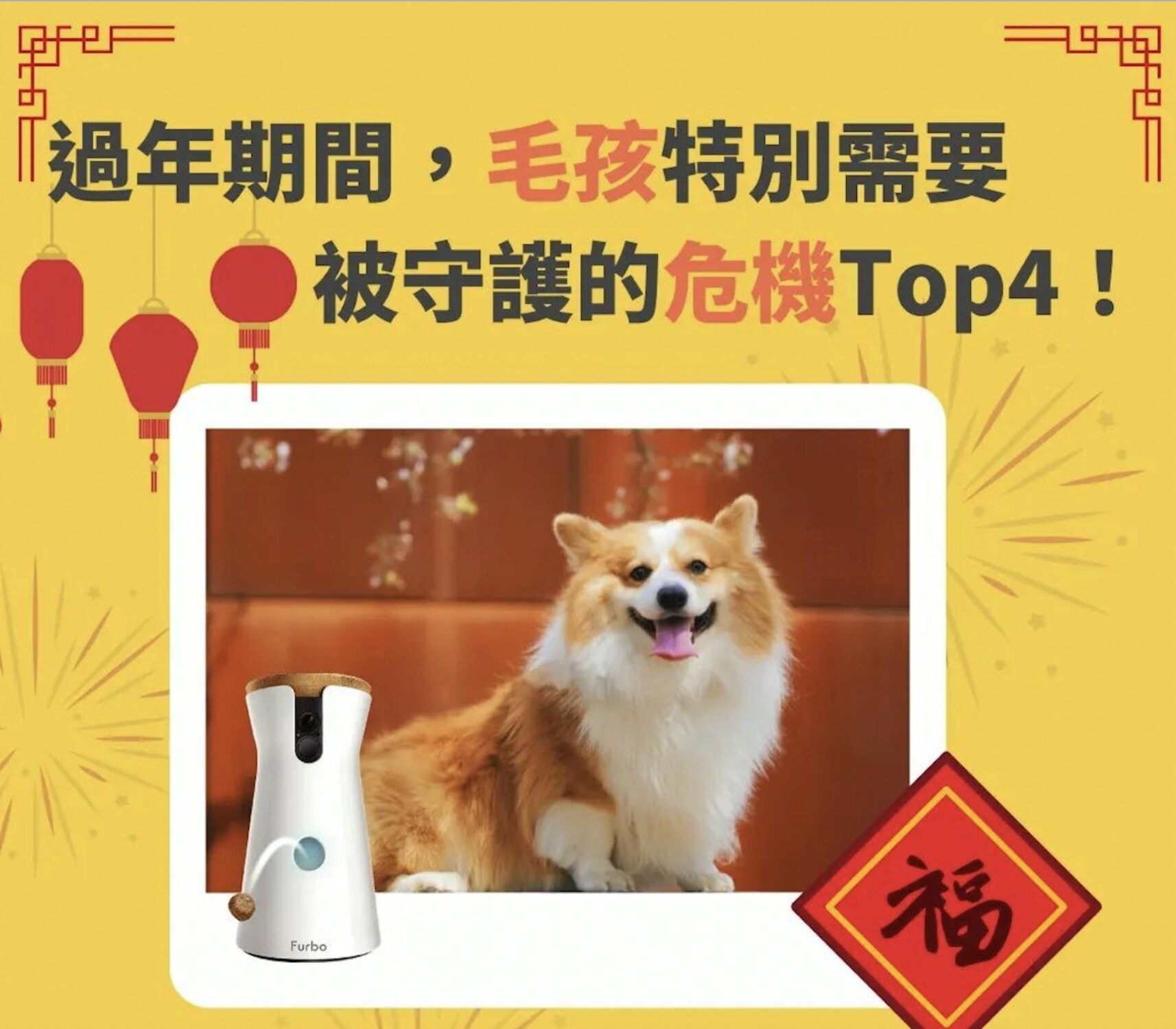 毛孩過年潛藏的4大危機有哪些？｜解決方法一次看！