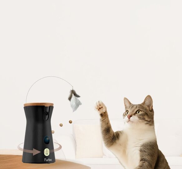 Furbo 360 cat camera with a cat