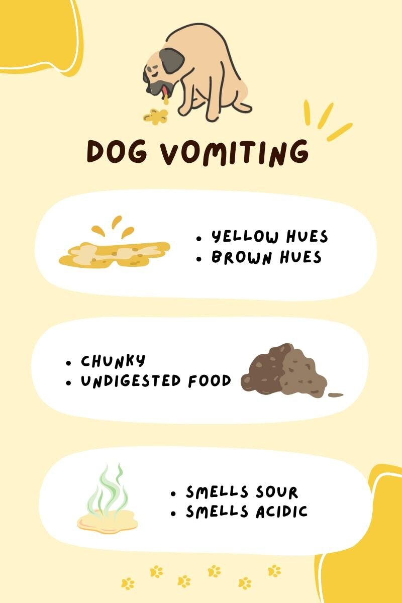If you have a house where dogs and cats coexist in peace, you’ll need to know the differences between dog and cat vomiting. This table below can he...