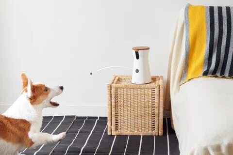 遠隔トレーニングも