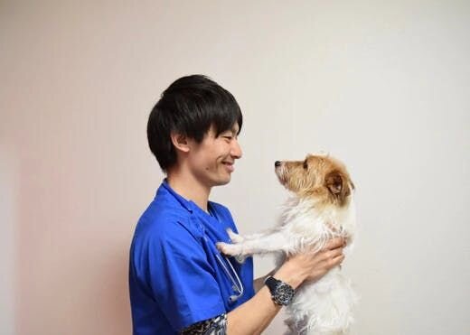 稲野辺獣医師連載Vol.2｜ペットの長期休暇後の体調不良