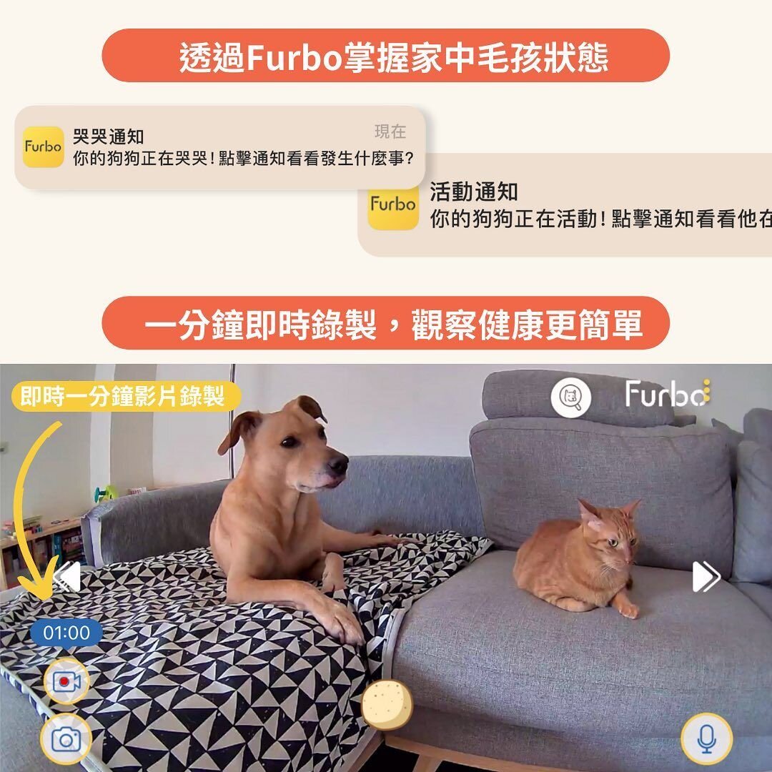 Furbo一分鐘影片錄製