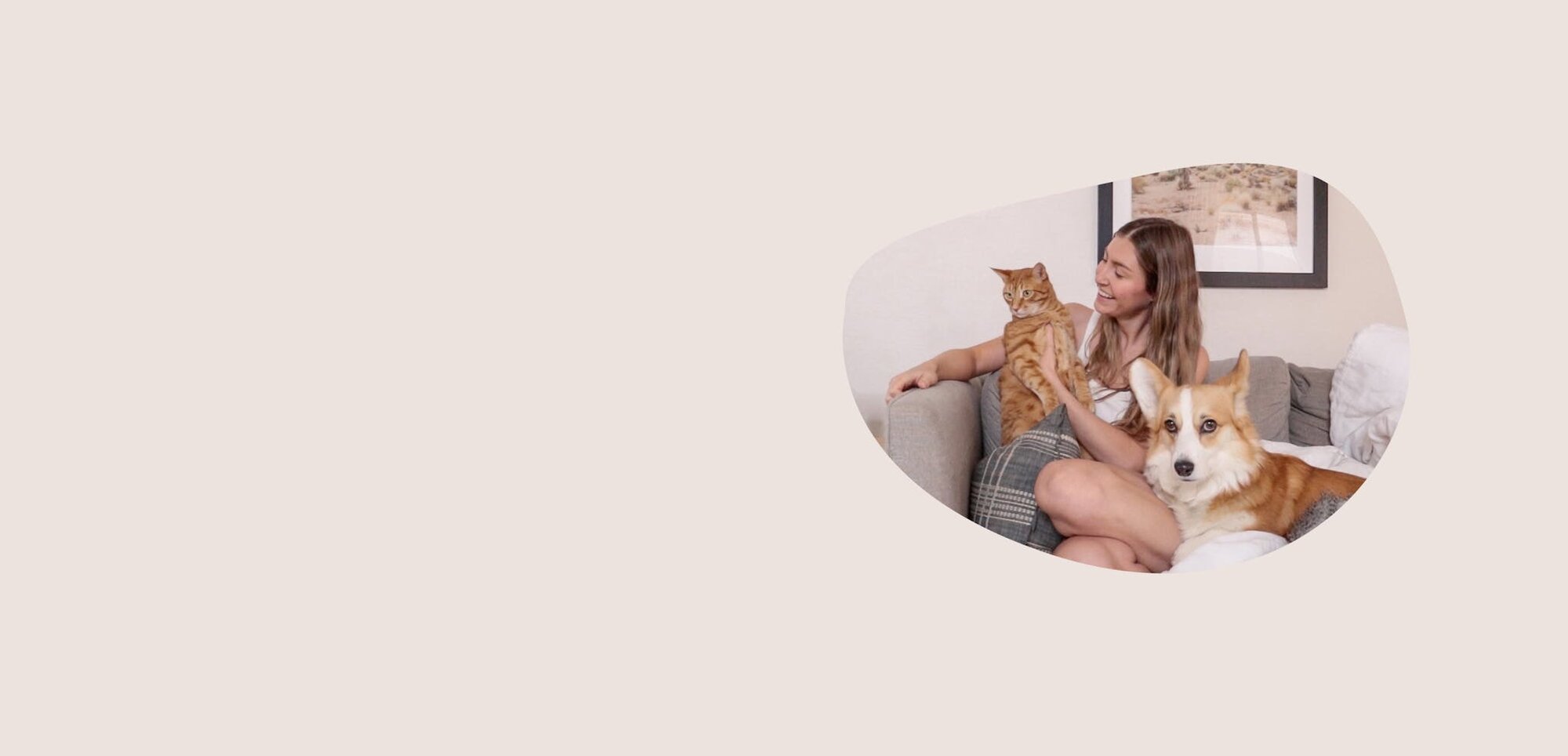 Person with a cat and a dog on a sofa