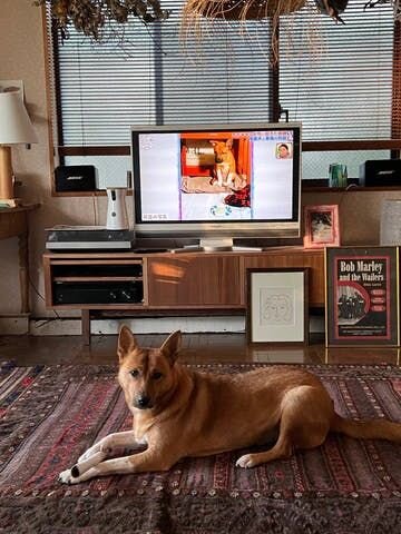 うそ？ もう師走？ あまりのスピードで駆け抜けた2021年。最後にまた小林ファミリーがテレビで取り上げられました。今回はBSの番組でした。インスタグラムで僕の発信を見てくれている方は、きっと僕と福のストーリーも保護犬のことについてもわかってる方がほとんど。でもこうやってテレビで取り上げられると...