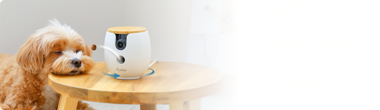 A fluffy, tan-and-white dog rests its chin on the edge of the table next to a Furbo Mini 360°