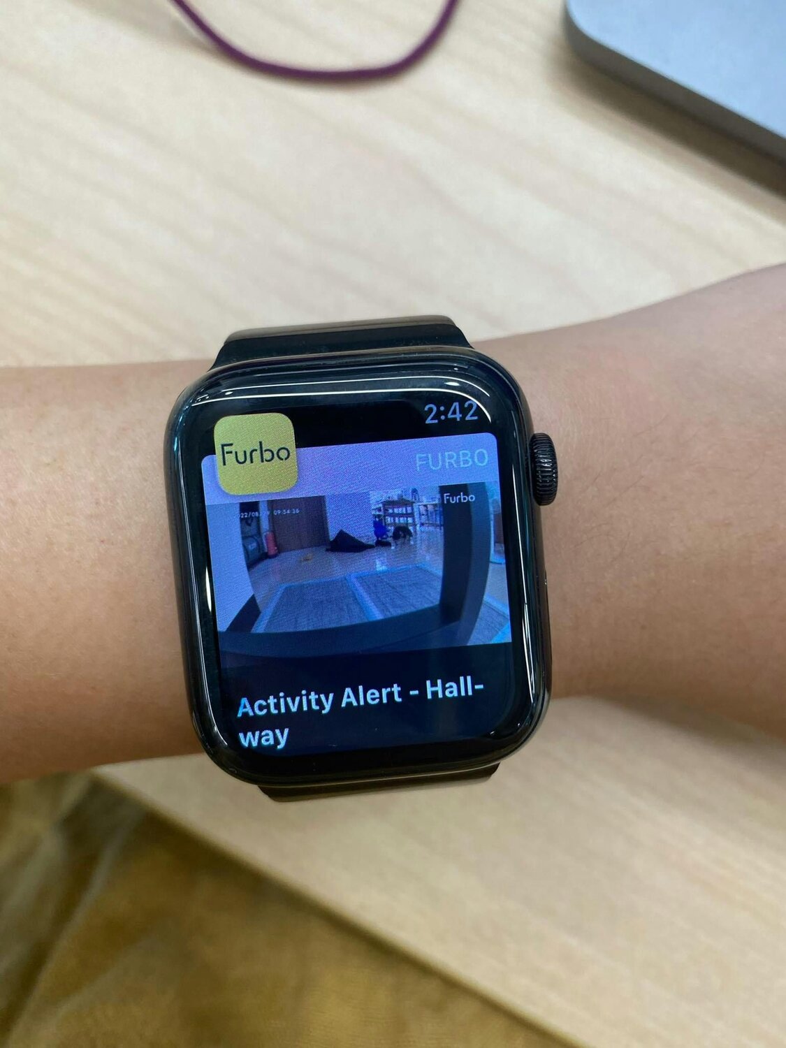 Furbo showing activity alert screenshot of dog